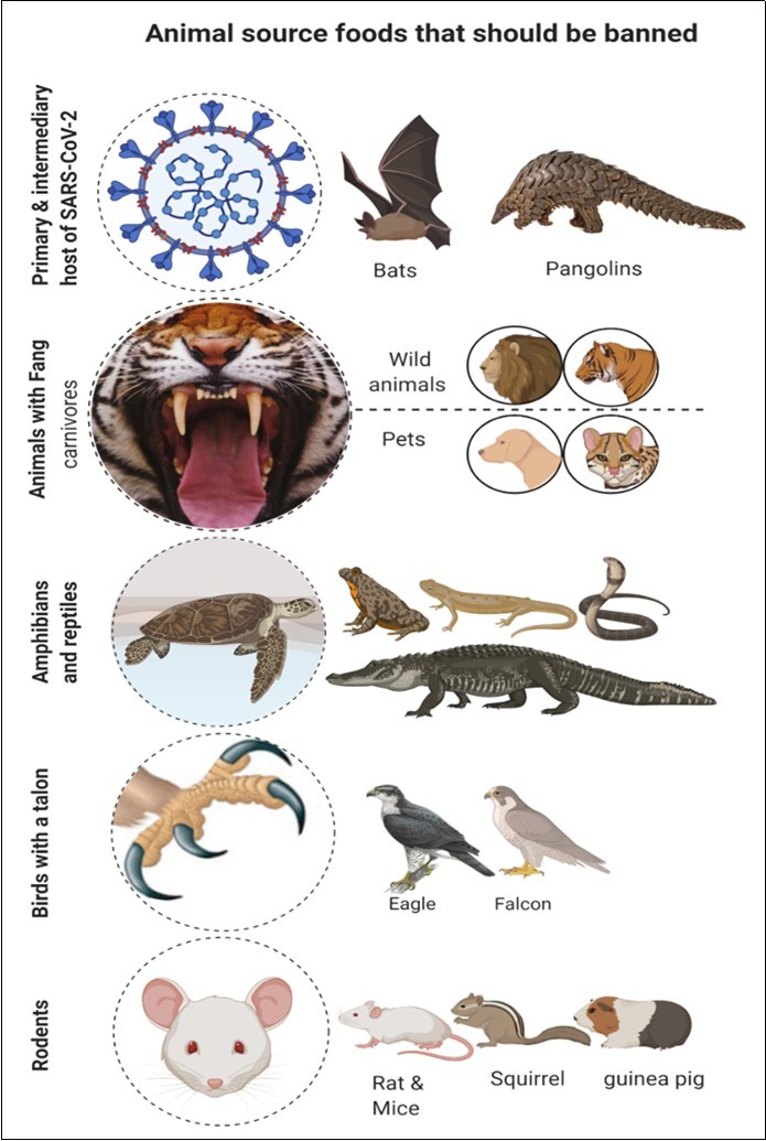 Strict regulations have to be activated to stop hunting and           consuming wild animals as a source of food. An ideal approach and     comprehensive understanding of wildlife animals ' culture is essential to minimize the risk of the future animal-origin epidemics and pandemics.