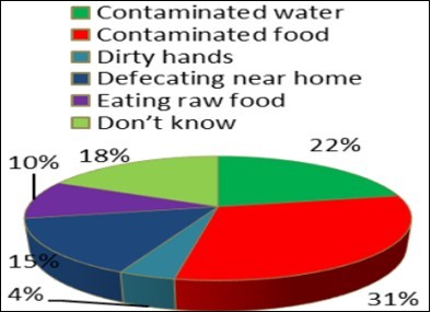 knowledge on causes of diarrhea of               respondent Lodha mothers.