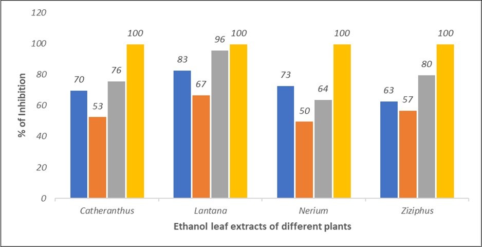 The % inhibition of different leaf extracts compared to ketoconazole (100% inhibition) against tested dermatophytes.