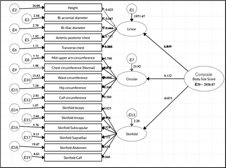 The composite indicators of the body size score with measurements and latent  variables by second order confirmatory factor analysis (unstandardized)