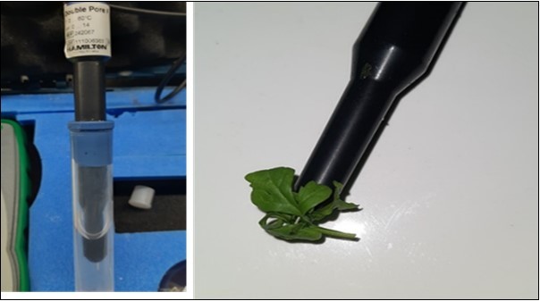 Measuring the foliar pH