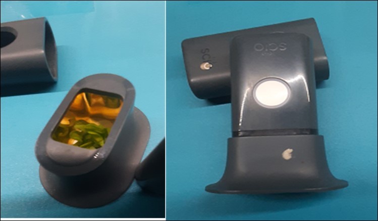 Scanning the leaves, after measuring the pH, with the SCiOTM device