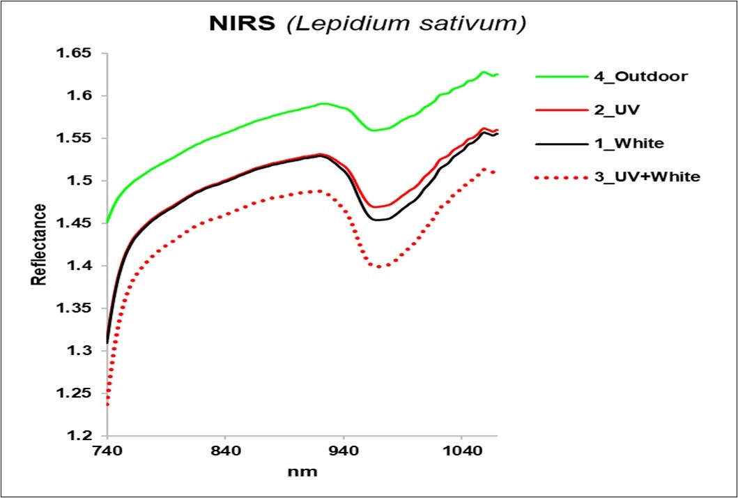 Average reflectance NIR spectra of the four groups of leaves.