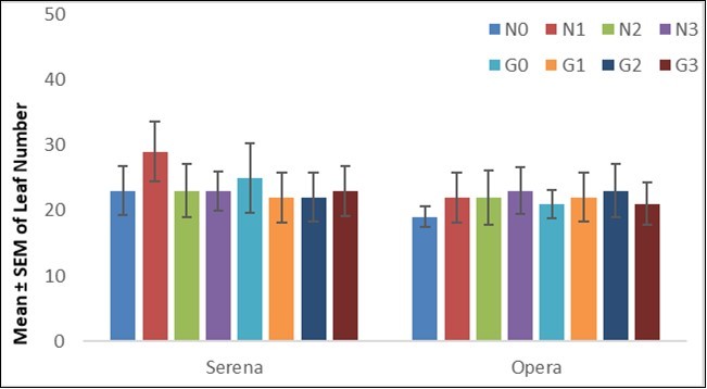 Impact of Guano on Leaf Number of Serena and Opera  cultivars (AlKadaro, Sudan, 2017)