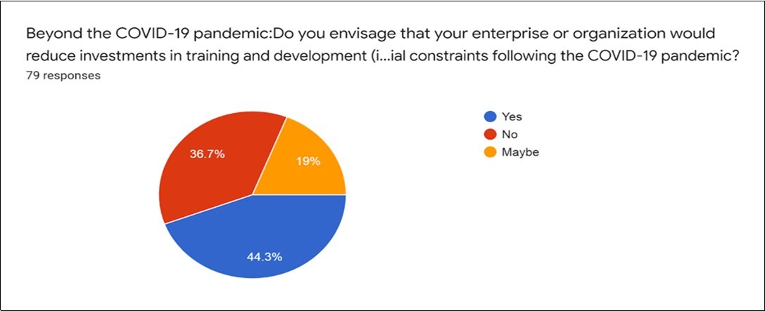 Enterprise investment and  COVID-19 pandemic June,2020 to October,2020