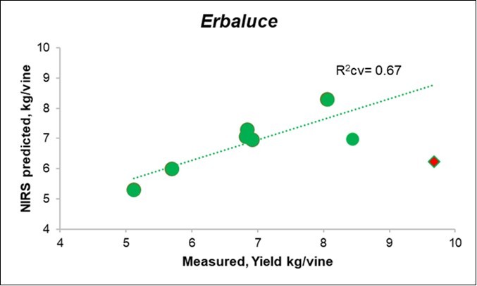 Biplot of the measured (X) vs. predicted yield from                Litterbag-NIRS for the Erbaluce vines.