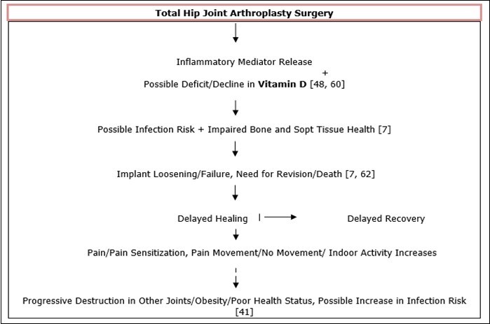 Hypothesized Interactive Mechanisms In Face Of Vitamin D Deficits At Time Of Hip Joint Total               Arthroplasty Surgery.