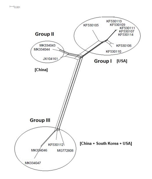 NeighborNet for 15 sequences of spike glycoprotein-coding gene of coronaviruses lineages of HCoV/NL63 belonging to cluster III (subgroup II). The networked relationships indicate the presence of reticulate events. Boxes imply likelihood of recombination. The         phylogenetic network constructed, using SplitsTree4 software, delineated seven distinct clusters. The scale bar shows the number of   substitution per nucleotide.