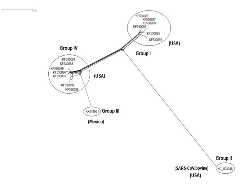 NeighborNet for 16 sequences of spike glycoprotein-coding gene of coronaviruses lineages of HCoV/OC43 belonging to cluster IV (subgroup I). The networked relationships indicate the presence of reticulate events. Boxes imply likelihood of recombination. The phylogenetic network constructed, using SplitsTree4            software, delineated seven distinct clusters. The scale bar shows the number of substitution per nucleotide.