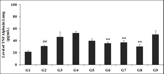 Effect of the test formulation on the level of TNF-α in lungs homogenate of Sprague Dawley rats. ##p≤0.01 vs. G1 and **p≤0.01 vs. G4.