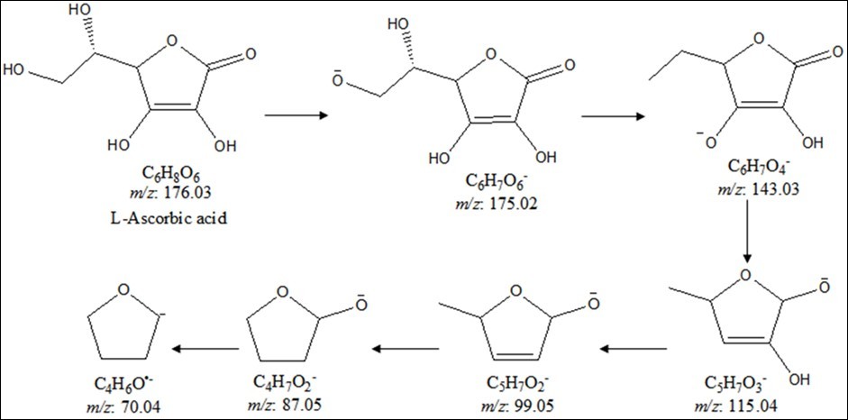 Proposed fragmentation pattern of cholecalciferol.