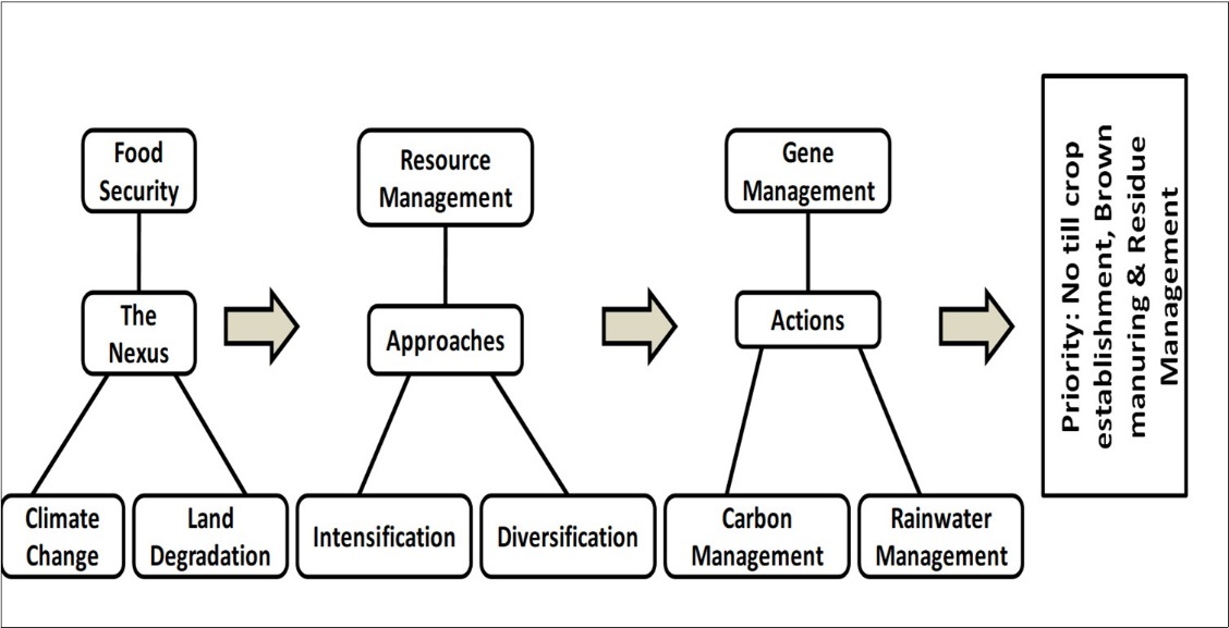 Priority actions for handling land degradation-food security-climate change nexus (Adapted from Abrol and Gupta, 2019)