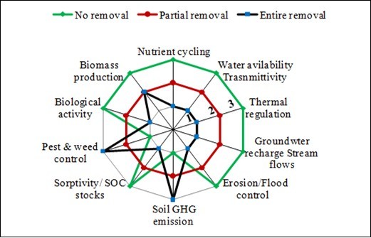 Impact of crop residue management on soil functions and plant growth (Adapted from Cherubin et al., 2017). The 1-3 impact scale denotes         1 - low, 2 – medium, and 3-high.