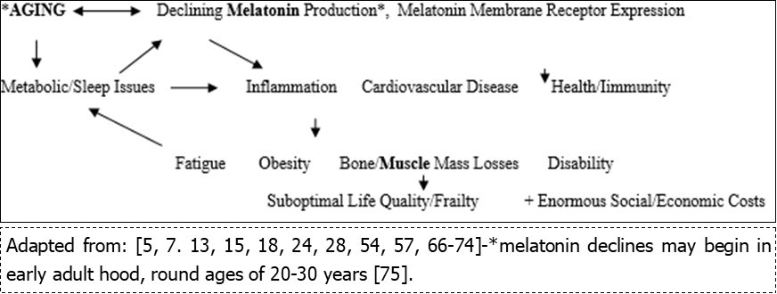 Hypothetical interactions of aging, melatonin production declines, and disability, in the context of older adults that stresses a need for early intervention to exert some control over this cascading set of degenerative health outcomes