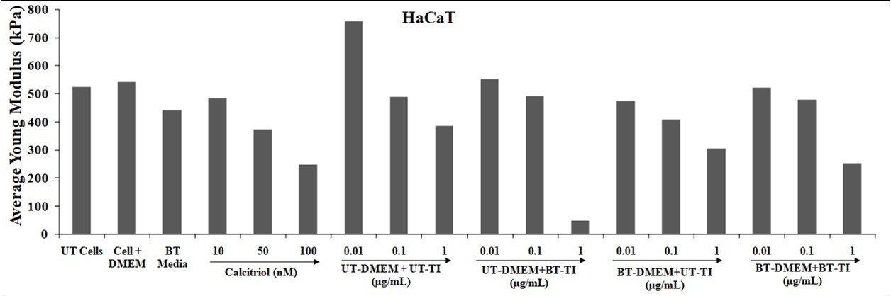 The effect of the test item on the level of young’s modulus (YM) in SH-SY5Y cell line after 48 hours. UT: Untreated; BT: Biofield Energy Treated/Blessed; TI: Test Item.