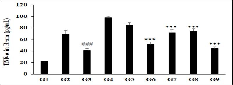 Expression of brain Tumour Necrosis Factor Alpha (TNF-α) after administration of Biofield                  Treated/Blessed test formulation and Biofield Energy Healing/Blessing per se to the Sprague Dawley rats. ###p≤0.001 vs. G2 and ***p≤0.001 vs. G4.