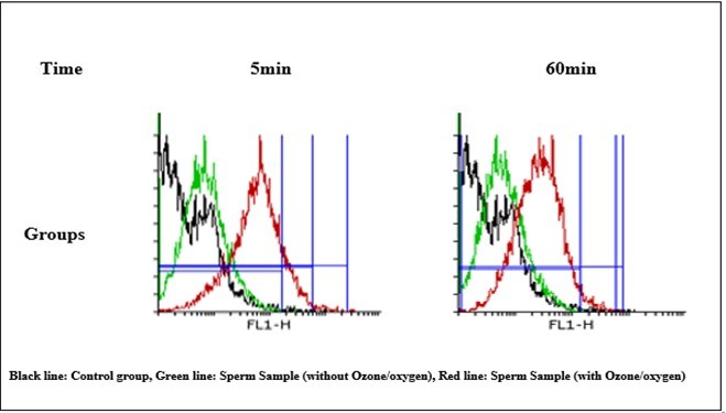 ROS formation in O2/O3-treated mitochondria. ROS formation after the addition of             various concentrations of O2/O3 (5 μg/ml) at intervals of A) 5 min after the addition, B) 60 min after the addition. C) ROS formation was determined through flow cytometry using DCF-DA as described in                 Materials and methods. FL1: the fluorescence intensity of DCF.