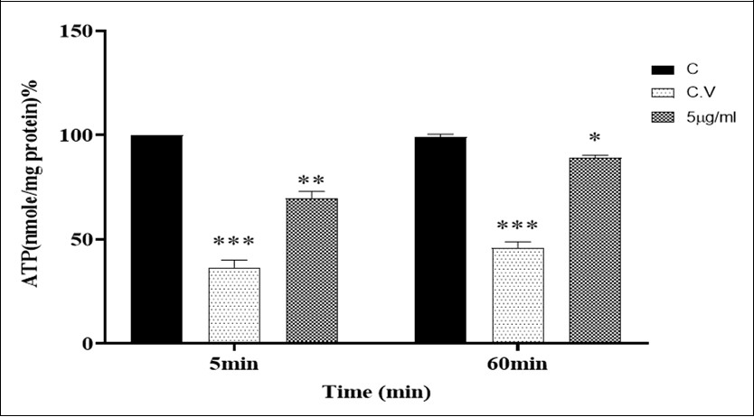 Effect of O2/O3 on mitochondrial ATP level. Sperm mitochondria (0.5 mg/ml) were incubated with of O2/O3 (5µg/ml) and A ATP level were determined using Luciferin/Luciferase Enzyme System as described in Materials and methods. Values represented as mean ± SD (n=5). *P > 0.05; **P > 0.01; *** P> 0.001, **** P> 0.0001compared to control mitochondria.