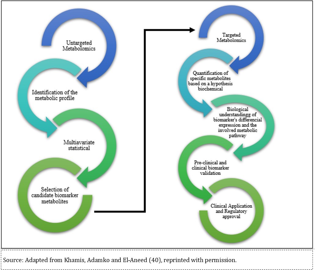 Stages of the discovery of new biomarkers in metabolomic
