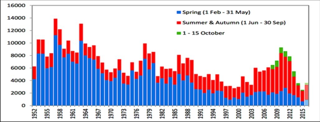 Salmon rod catches for the River Dee, 1952 – 2016 (Marine Scotland Science data), as presented by the Dee Board. The River Dee salmon fishing season commences on the 1st of February and finishes on the 15th of October each year. Note that the October catch is taken over only 2 weeks, whereas the Spring and the Summer/Autumn periods are each 16 weeks.