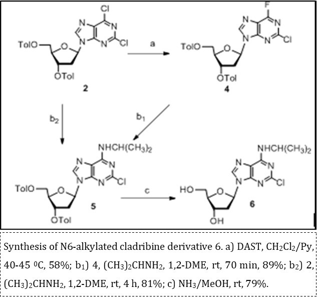 Synthesis of N6-alkylated cladribine derivative 6