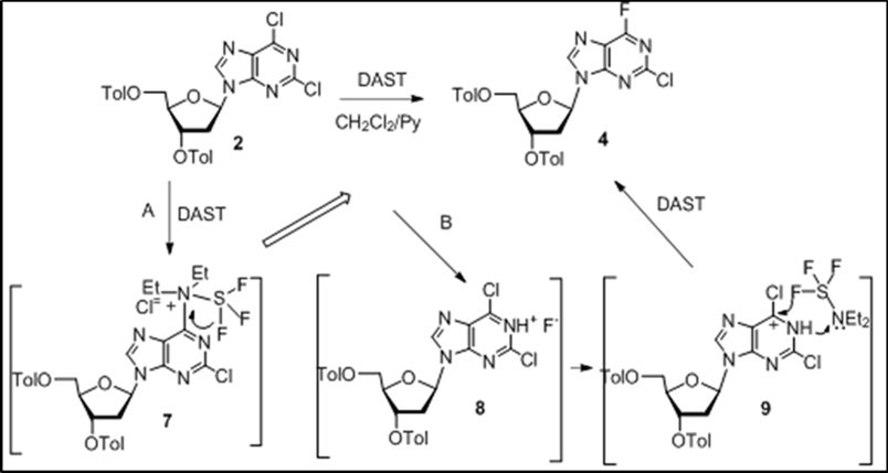 Proposed mechanism for fluorination reaction of 2,6-dichloropurine                 nucleoside 2 with DAST
