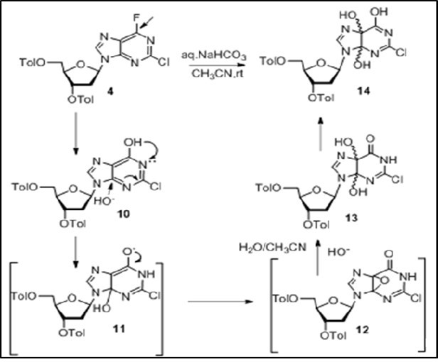 Synthesis of purine modified 2′-deoxynucleoside 14 from                      2-chloro-6-fluoropurine derivative 4