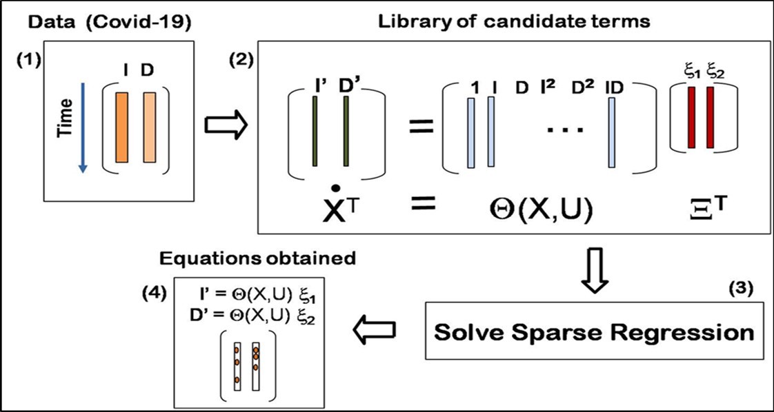 Schematic illustration of the methodology to calculate the differential equations (T means                  transpose).