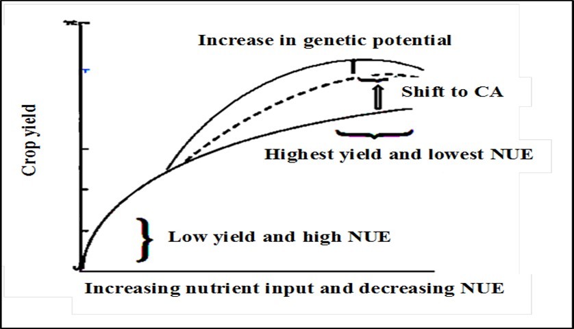 Schematic representation of the effects of shift to conservation                       agriculture (CA) and crop improvement oriented to sustainable land                 management practices on crop yield and nutrient use efficiency (NUE) (modified from Dibb 66)