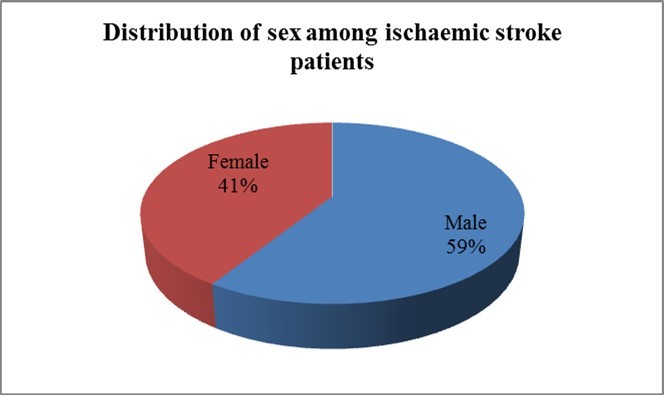 Distribution of sex among ischaemic stroke patients.