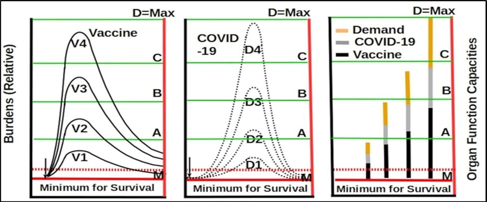 Personal vital organs function capacities are indicated by line M, A, B, C and D with M as the          minimum for sustaining life and D as the maximum. A young and healthy person has huge unused functional capacities. Vaccine burden is shown in the left diagram, infection bur- den is shown in the middle diagram, and the right diagram shows the combination of vaccine, COVID-19 infection and life activity burdens. A  person’s ability to survive from the vaccine or infection depends on the total functional capacities. The             person can survive if the total burden from all sources is within the organ functional capacities.