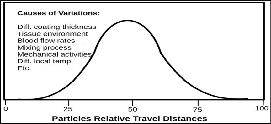 The mRNA particles have different protective coatings and some of them can travel  longer distances while others travel short distances. They can survive for different times in blood. The variations in traveling distance or survival time are also caused by variations in blood circulation, tissue structure, tissue mechanical features, chemical environment,              temperature, etc.