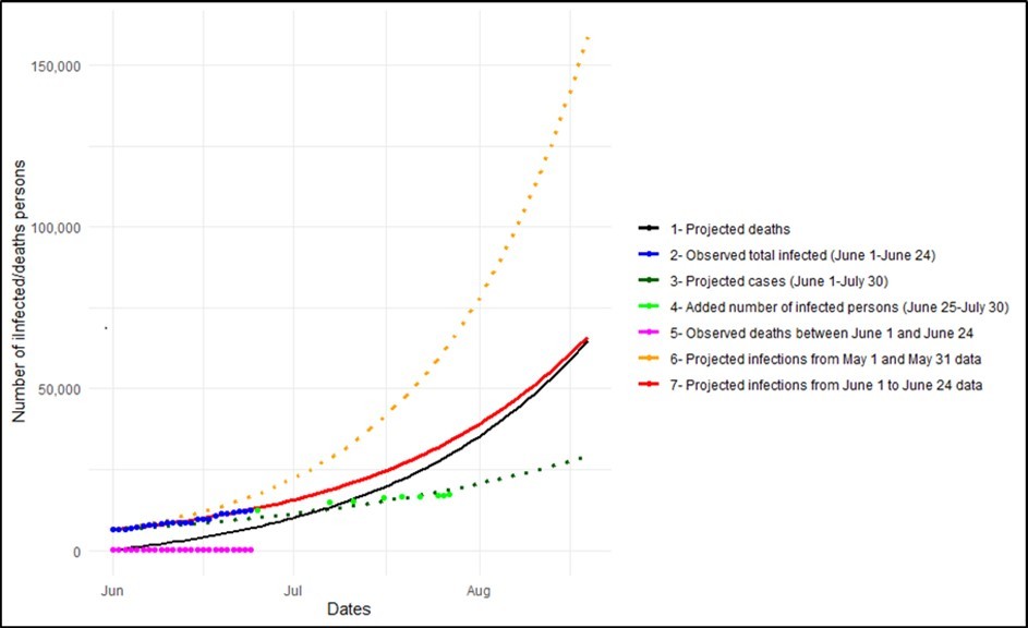 Numbers of cases and deaths observed between June 1 and June 24, 2020, and projection of the epidemic trend in Cameroon by mid-August 2020.
