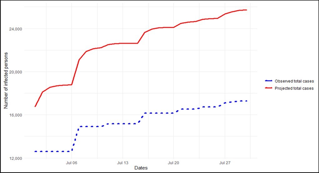Total COVID-19 cases estimated using transition probabilities during the month of July.
