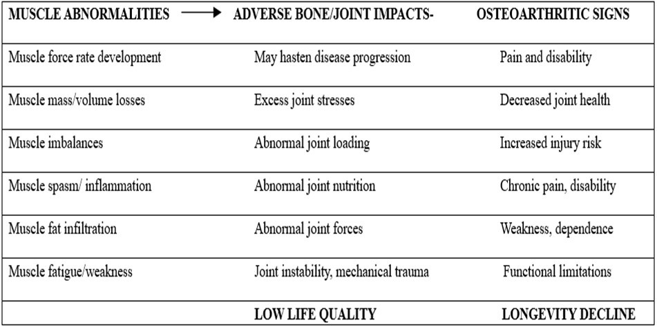 Schematic representation of some anticipated muscular abnormalities and their impacts and outcomes in the  presence of muscle weakness and other forms of muscle dysfunction coupled with the absence of efforts to  identify and  mitigate these attributes specifically and in a targeted manner Adapted from references 9