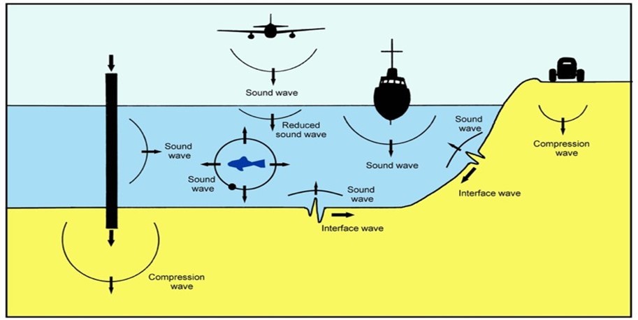 (Drawn by me): There are a number of human aquatic sound sources, and sounds may be generated in the air by aircraft, in the water (often from boat engines and propellers, seismic air guns and trawls towed by vessels, pile driving construction work, and sometimes operational wind turbines), and vibration is also generated within the substrate. While most of the sounds arise from operations in the water, it is also apparent that vibration generated on land, for example by vehicle traffic and construction work, may also get into the                 water through the substrate. Thus, the underwater acoustic environment, especially near the shore, can be very complex as a result of human activities.