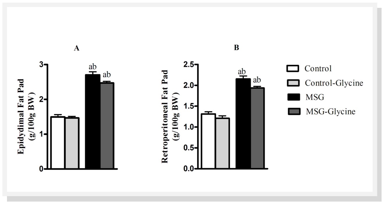 Effect of glycine intake on epidydimal (A) and retroperitoneal (B) fat pad accumulation in MSG-obese rats. ANOVA were performed with Bonferroni post-test (n=15). Letters over bars represent significant differences with p<0.05 between groups: a- Control; b-Control-Glycine; c-MSG and d-MSG-Glycine.