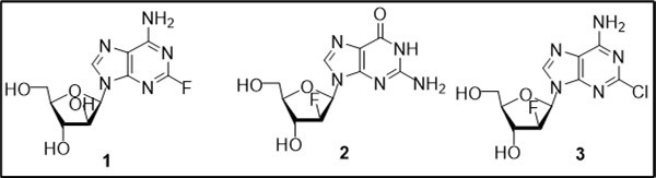 Structures of anticancer fluorinated purine nucleosides