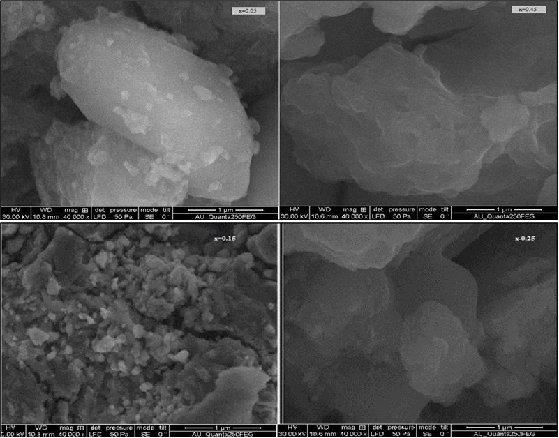 SEM micrographs for Mg0.45Mn0.55−xNixFe2O4 (0.00 ≤ x ≤ 0.55) ferrite particles
