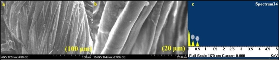 Scanning electron microscope analysis of Mg0.45Mn0.55−xNixFe2O4 (0.00 ≤ x ≤ 0.55) ferrite                 particles loaded cotton fabrics (a & b) Mg0.45Mn0.55−xNixFe2O4 (0.00 ≤ x ≤ 0.55) ferrite particles loaded cotton fabrics showing rough surface; (c) EDS spectrum of Mg0.45Mn0.55−xNixFe2O4 (0.00 ≤ x ≤ 0.55) ferrite particles loaded cotton fabric showing strong peaks of ferrites