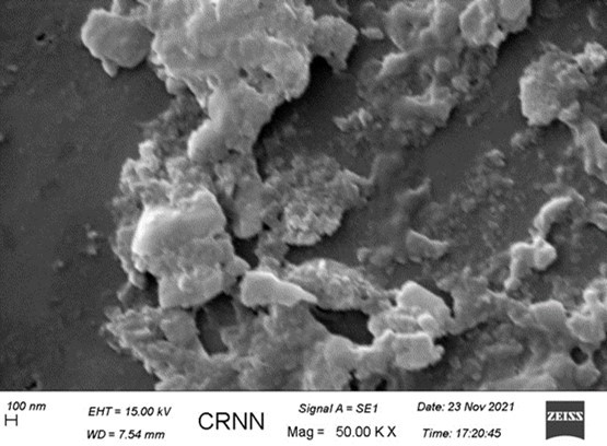 SEM study of attogram level stroked antigen in   alcohol. It indicates the presence of many nanoparticles originating from the antigen molecules along with some   larger particles of silica probably originated from the surface of the glass container during strokes.