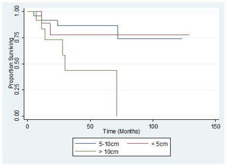Comparison of the overall survival by      tumor size of patients with primary breast            sarcoma in the Philippine General Hospital from 2000-2010