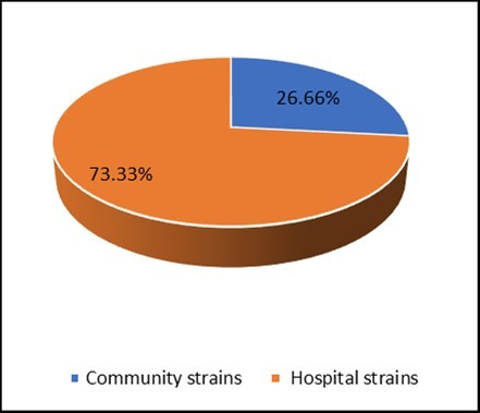 Distribution of isolated strains of Staphylococci.
