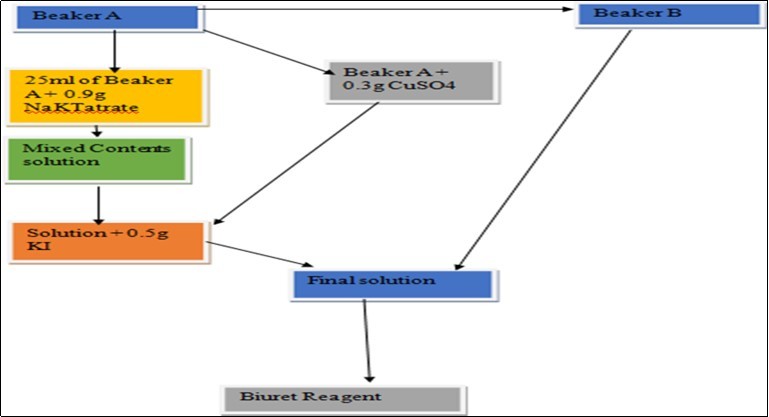 Flow chart showing the preparation of Biuret reagent