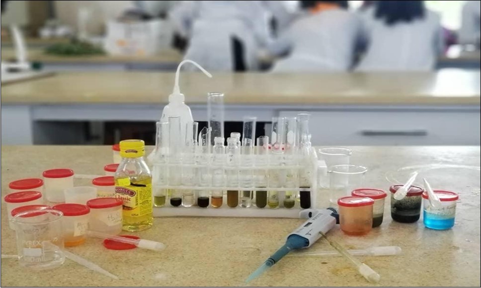 Phytochemical analysis