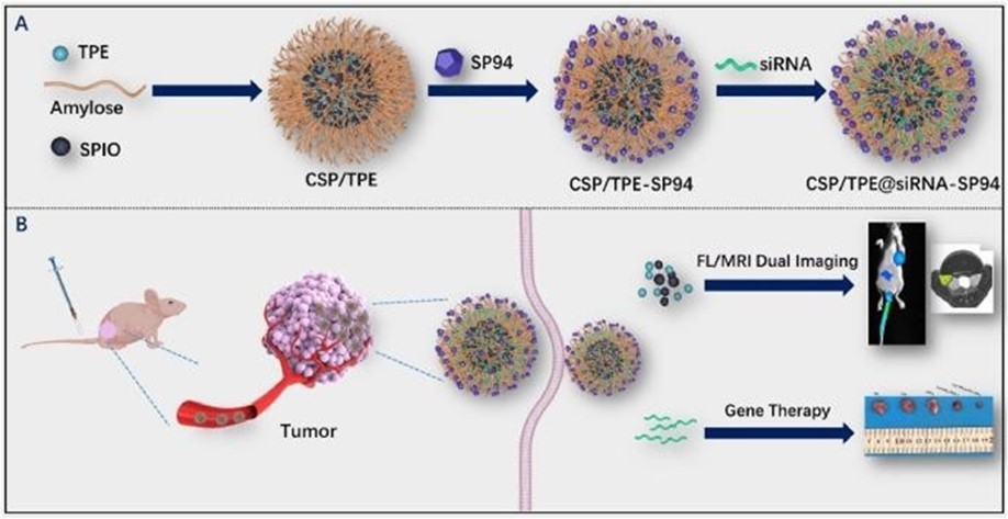 Schematic of different steps of CERN Large Hadron Collider (LHC) radiation source for                magnetic resonance biospectroscopy in metabolic and molecular imaging and diagnosis of cancer.