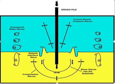 A seismic interface wave (ground roll), is created here by the impact of a driven pile. The impact energy excites vibration waves traveling radially outward from a central point source. A pile driver, struck by a vertical hammer creates sound pressure waves in water and vibrational waves within the substrate. The motions of some particles, above and below the seismic interface. waves, are shown using hodographs.