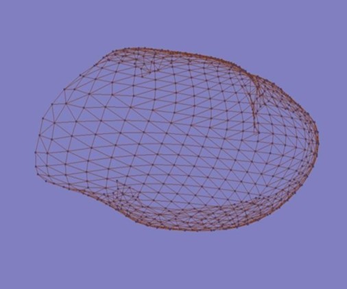 Model of the heart surface area, built on the basis of Delaunay triangulation