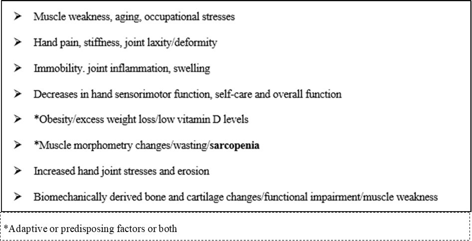 Possible Pathways Underpinning Hand Osteoarthritis Disability in the Older Adult (Adapted from: 32, 40, 57, 60,  61, 72-75)