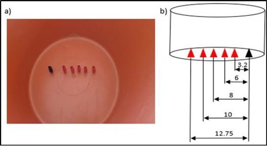 Preparing the electrode sites.